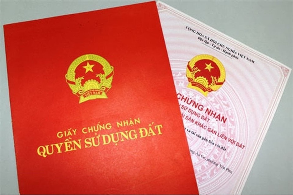 Tin Tức