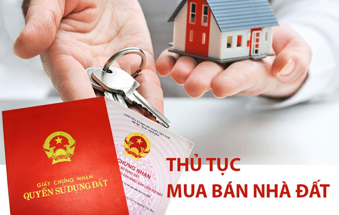 Tin Tức